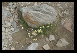 Timmelsjoch -01-07-2011 - Bogdan Balaban